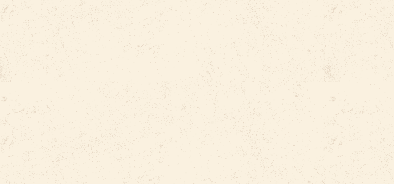 Jimmy Dean Turkey Sausage Beige Texture